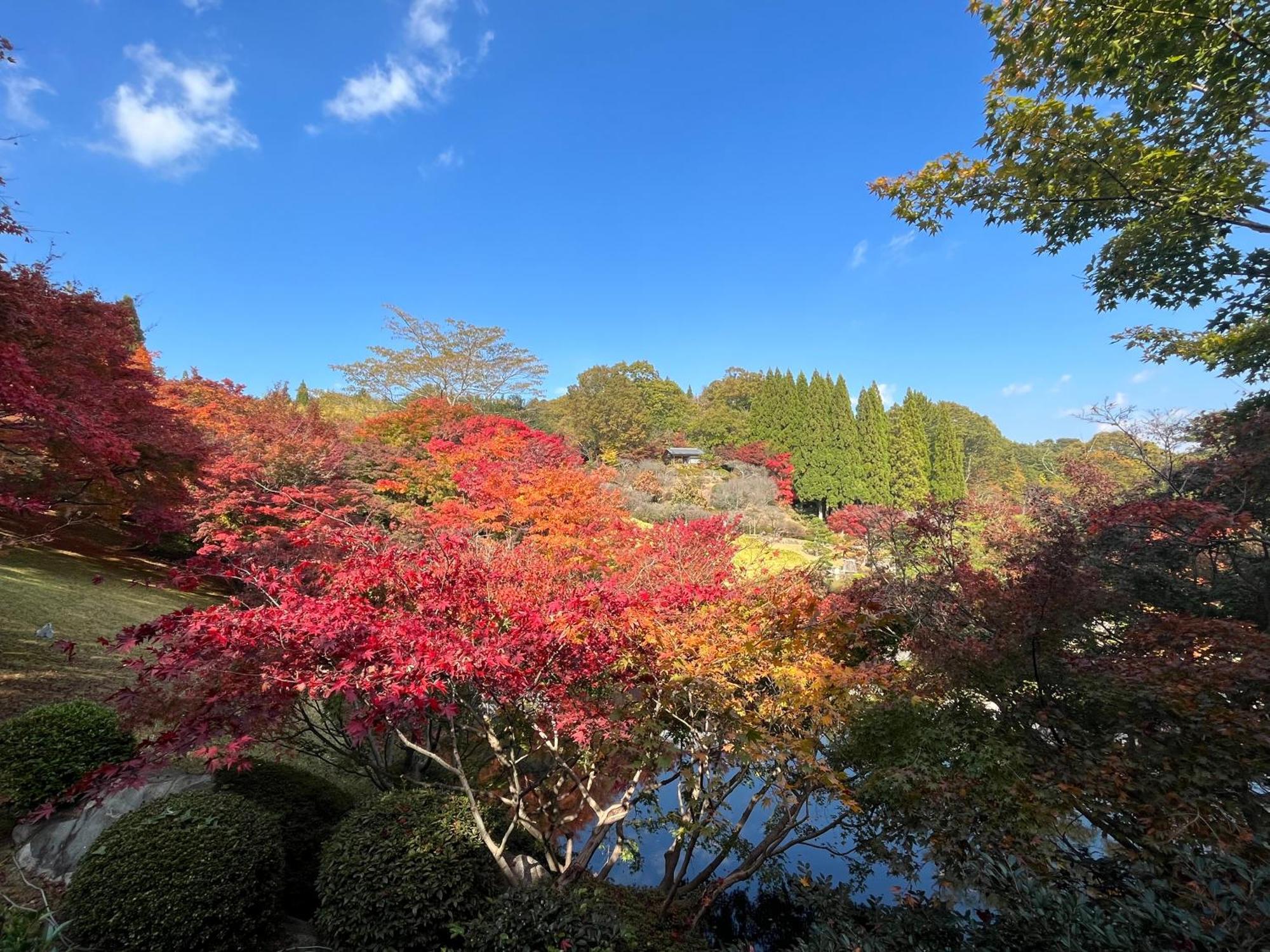 Daiwa Roynet Hotel Hiroshima Exterior foto